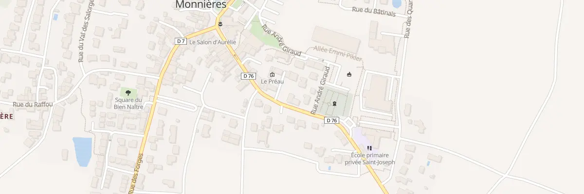 Plan du 29 Rue de la Mairie à Monnières
