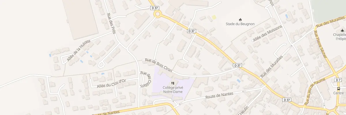 Plan du 217 Rue de Bois Ciron au Loroux-Bottereau