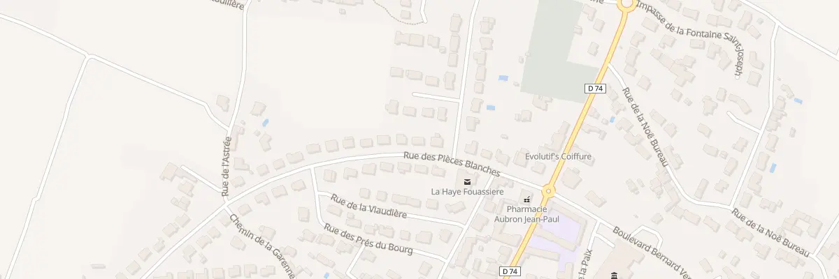 Plan du 9 Rue des Pièces Blanches à La Haie-Fouassière