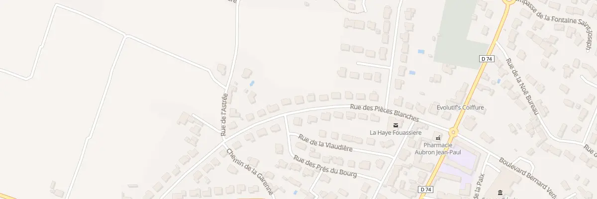 Plan du 19 Rue des Pièces Blanches à La Haie-Fouassière