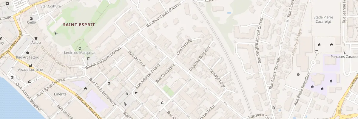 Plan du 21 Rue Daniel Argote à Bayonne