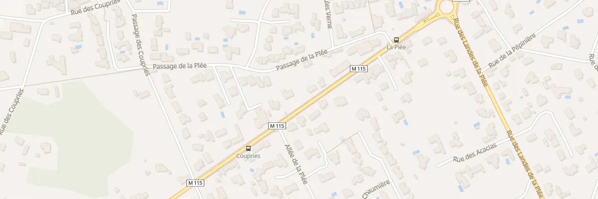 Plan du 320 Rte du Loroux Bottereau à Basse-Goulaine