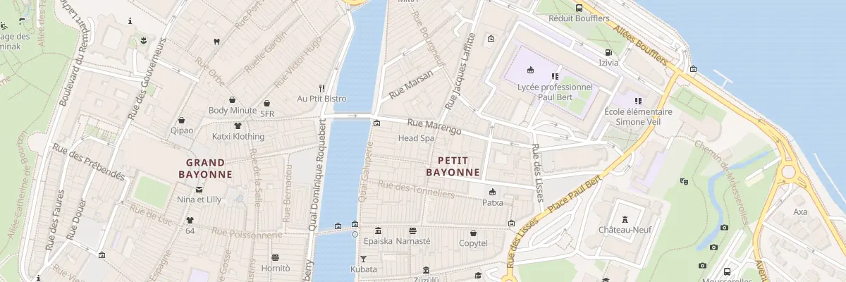 Plan du 21 Rue Pontrique à Bayonne