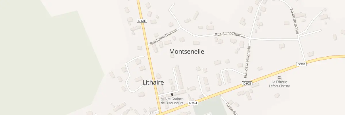 Plan du 6 Rue Saint-Thomas à Montsenelle