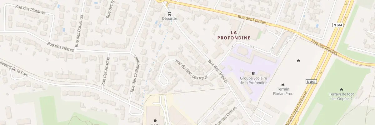Plan du 13 Rue des Bois des Faux à Saint-Sébastien-sur-Loire