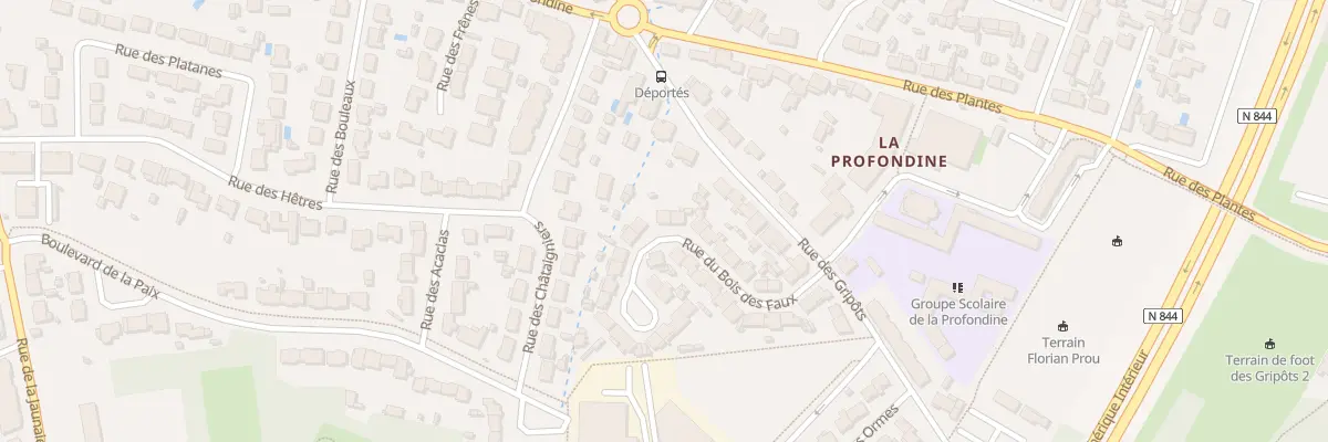 Plan du 21 Rue des Bois des Faux à Saint-Sébastien-sur-Loire
