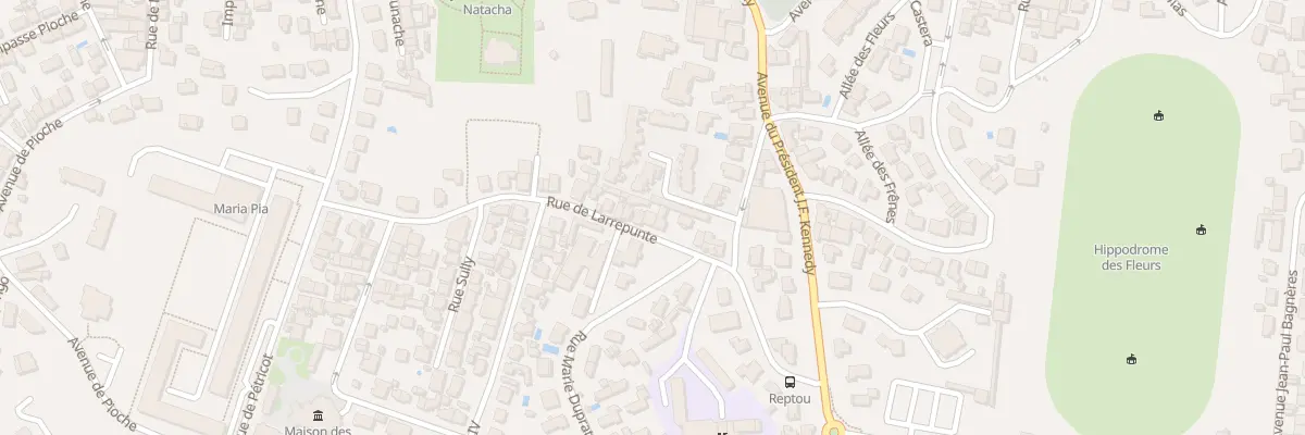 Plan du 37 Rue de Larrepunte à Biarritz