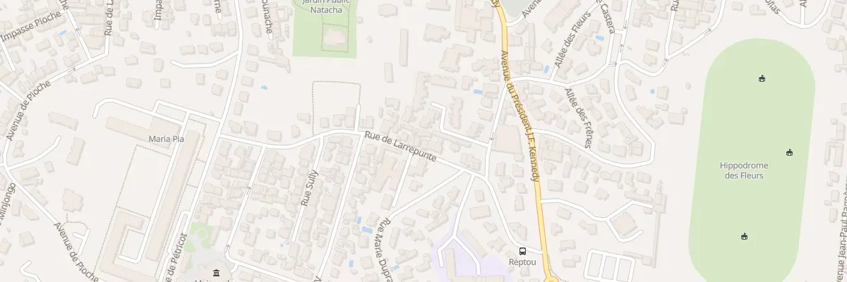 Plan du 31 Rue de Larrepunte à Biarritz