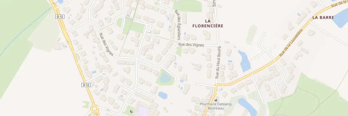 Plan du 30 Rue des Vignes à Sainte-Flaive-des-Loups