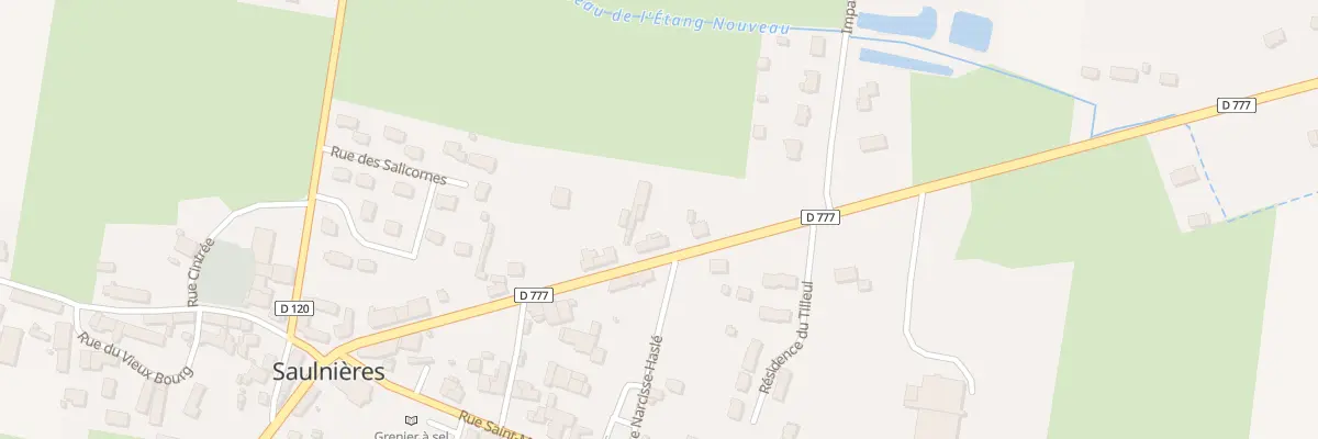 Plan du 29 Rue des Paludiers à Saulnières