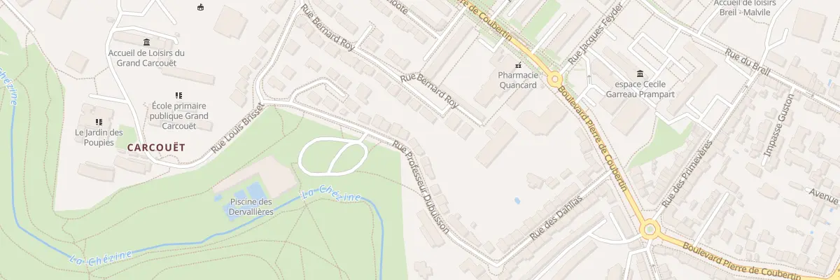 Plan du 22 Rue Professeur Dubuisson à Nantes