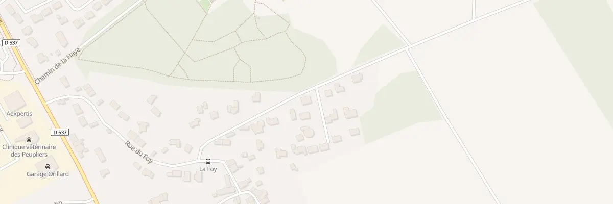 Plan du 38 Rue du Foy à Derval