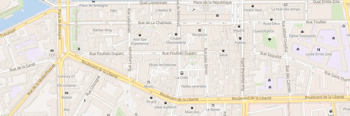Plan du 5 Rue Poullain Duparc à Rennes