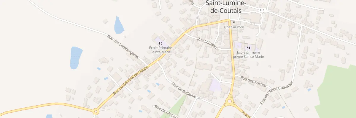 Plan du 19 Rue du Gen de Gaulle à Saint-Lumine-de-Coutais