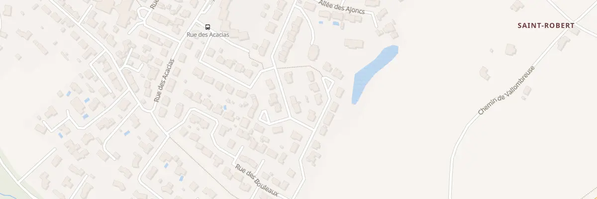 Plan du 29 Rue du bois marie à Coëx