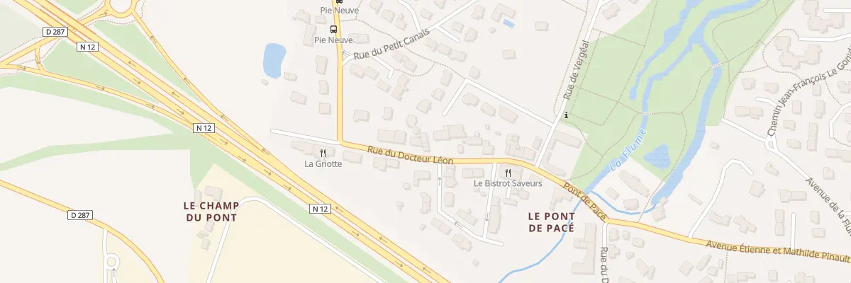 Plan du 19T Rue du Docteur Léon à Pacé