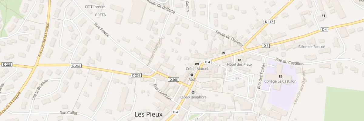 Plan du 44B Rue Centrale aux Pieux