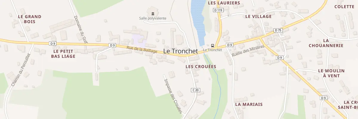 Plan du 5309 Le Petit Bas Liage au Tronchet