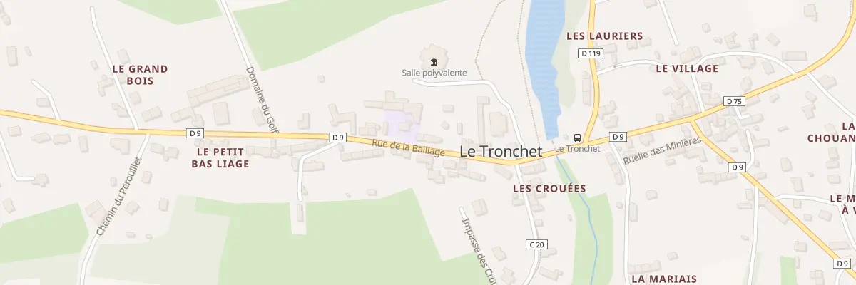 Plan du 5096 Le Petit Bas Liage au Tronchet