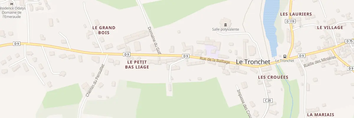 Plan du 5323 Le Petit Bas Liage au Tronchet