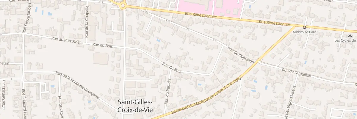 Plan du 29 Rue du bois à Saint-Gilles-Croix-de-Vie
