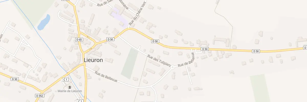 Plan du 4 Rue de la Croix Bouëxic à Lieuron