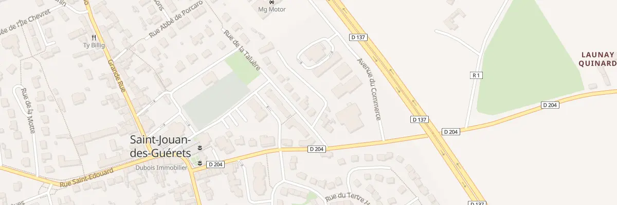 Plan du 19 Rue de Taluere à Saint-Jouan-des-Guérets