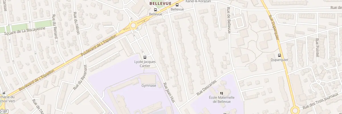 Plan du 20 Rue Mgr Dies à Saint-Malo