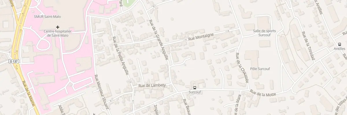 Plan du 21 Rue de la Grande Anguille à Saint-Malo