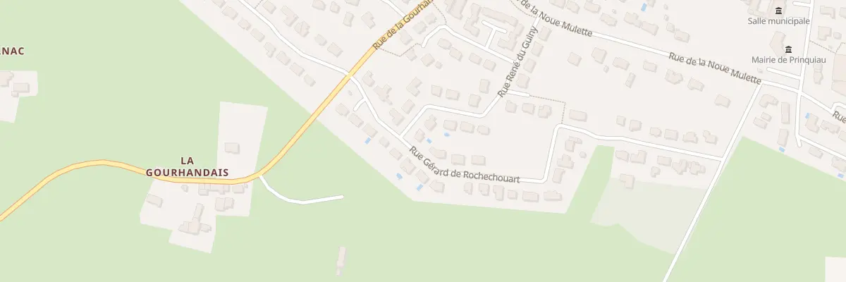 Plan du 21 Rue René du Guiny à Prinquiau
