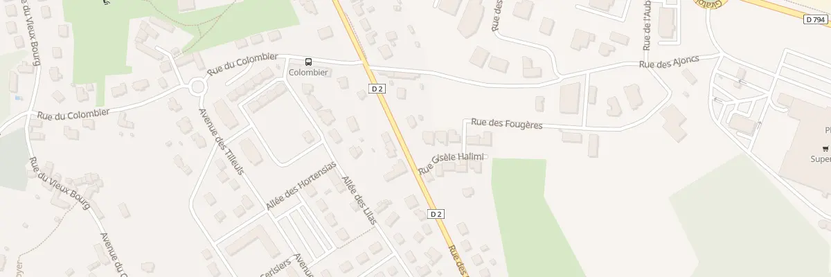 Plan du 29 Rue des Chevrins à Lanvallay