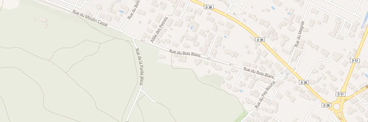Plan du 29 Rue du bois blanc à Saint-Jean-de-Monts
