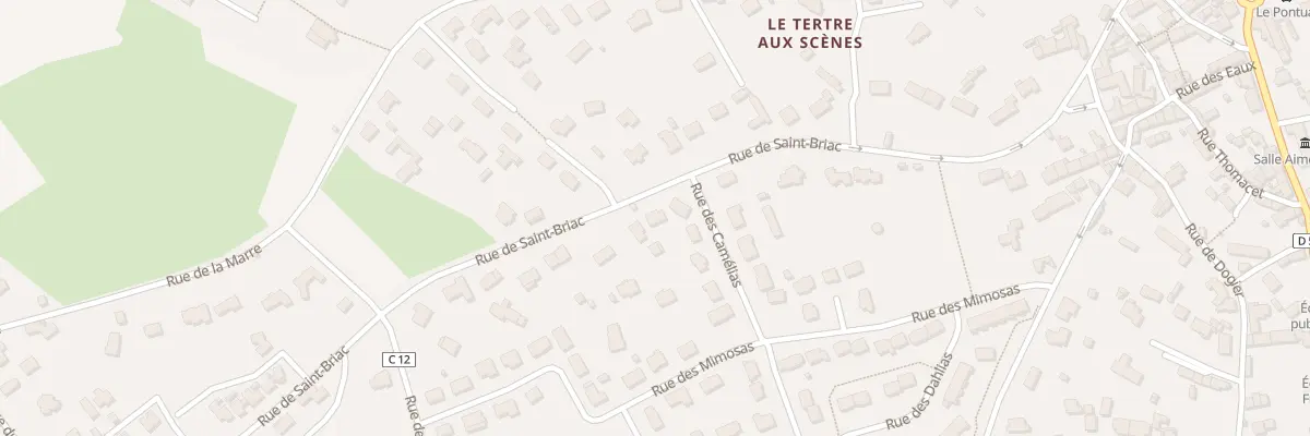 Plan du 487 Rue de Saint Briac à Saint-Lunaire