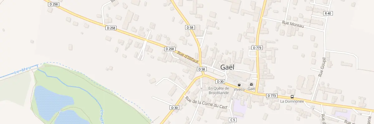 Plan du 1 Rue d’Illifaut à Gaël