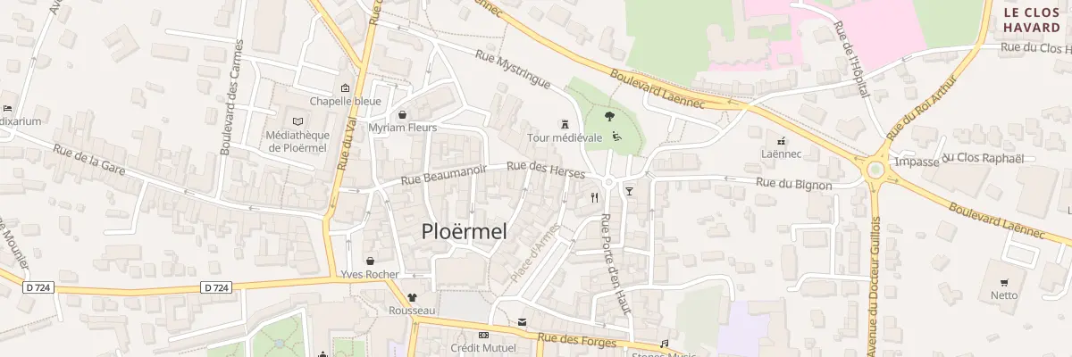 Plan du 20 Rue Saint-Armel à Ploërmel