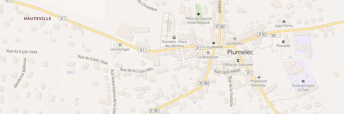 Plan du 17 Rue Martyrs de la Resistance à Plumelec