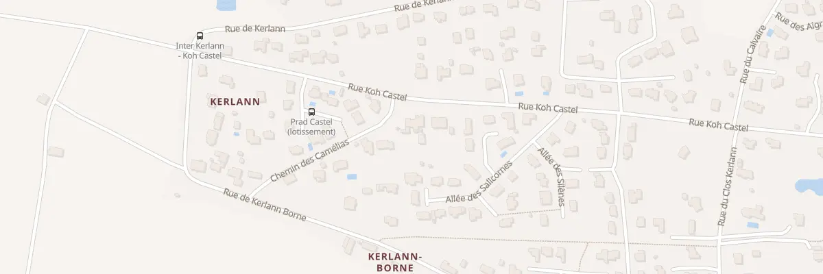 Plan du 57 Rue Koh Castel à Surzur