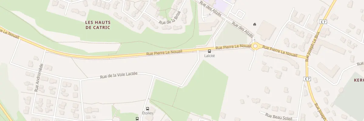 Plan du 21 Rue Pierre le Nouail à Saint-Avé