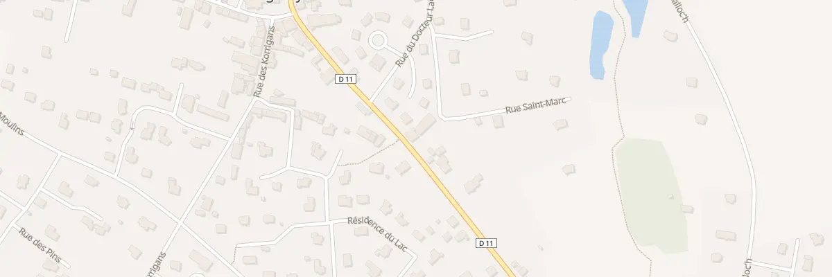Plan du 21 Rue du Général de Gaulle à Réguiny