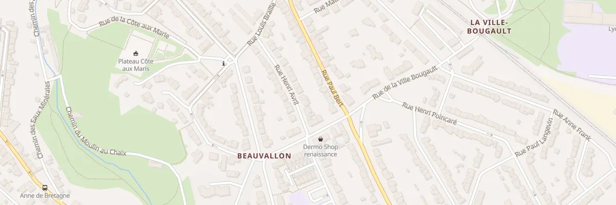 Plan du 21 Rue Henri Avril à Saint-Brieuc