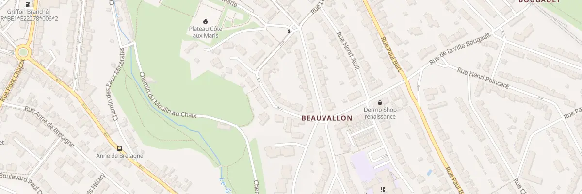 Plan du 29 Rue Louis Jouvet à Saint-Brieuc
