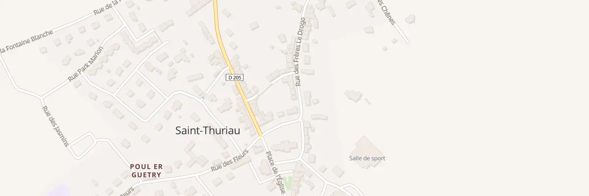 Plan du 1 Rue des Frères le Drogo à Saint-Thuriau