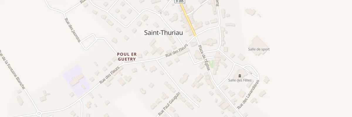 Plan du 3 Rue des Fleurs à Saint-Thuriau