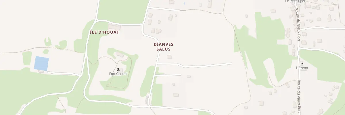 Plan du 294 Dianves Salus à Île-d’Houat