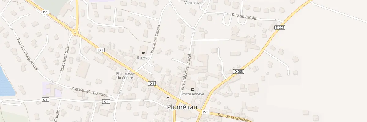 Plan du 16 Rue Théodore Botrel à Pluméliau-Bieuzy