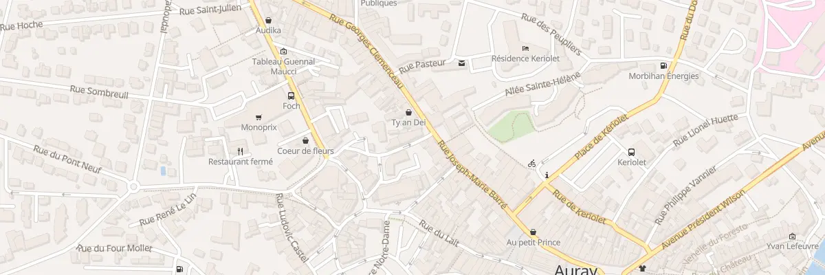 Plan du 4 Rue du Docteur Bourdeloye à Auray