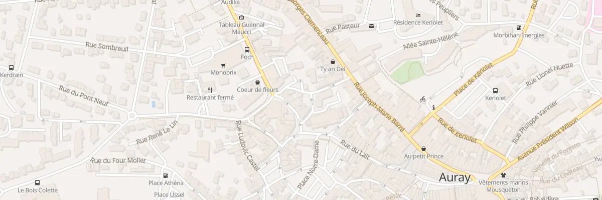 Plan du 11 Rue du Docteur Bourdeloye à Auray