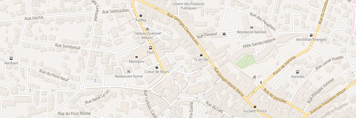Plan du 12 Rue du Docteur Bourdeloye à Auray