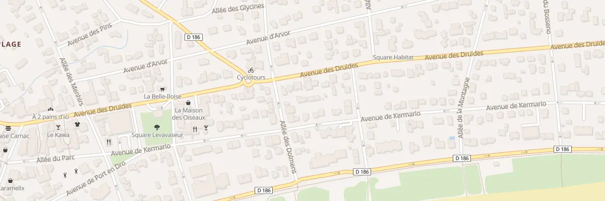Plan du 5949 Av des Druides à Carnac