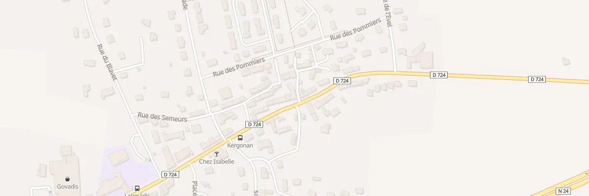 Plan du 49 Rue du Commerce à Languidic